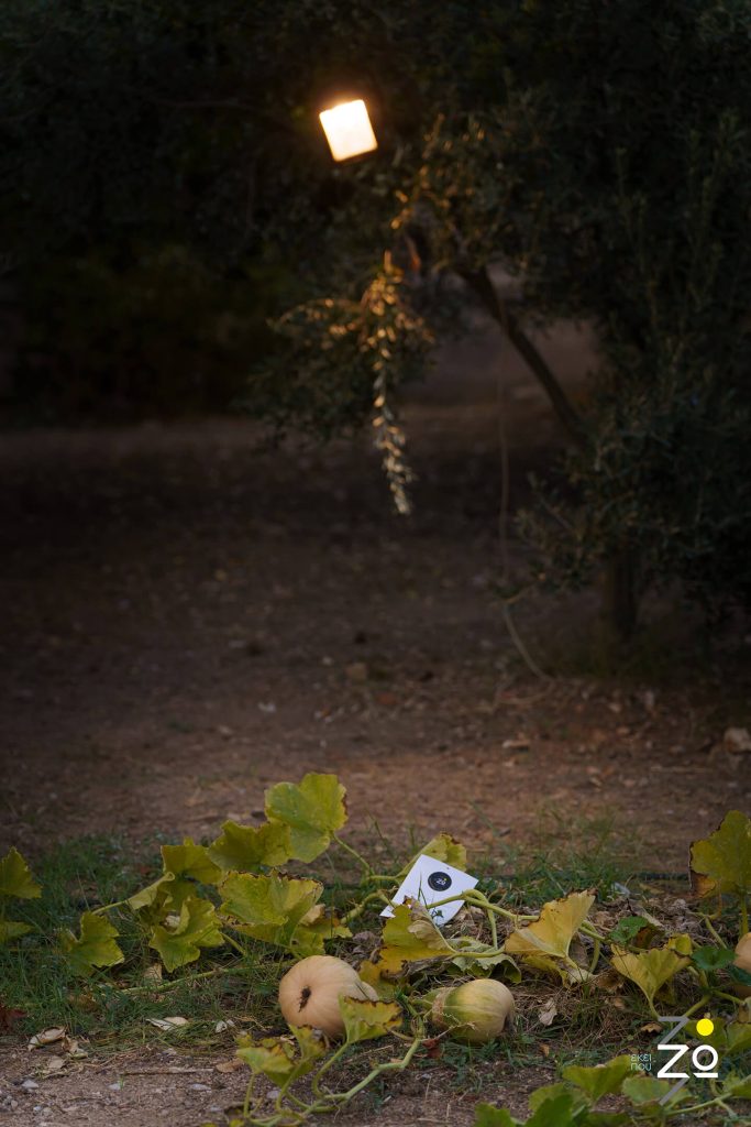 "Ορφανό σποράκι", Γιάννης Μακριδάκης - φυσική εγκατάσταση